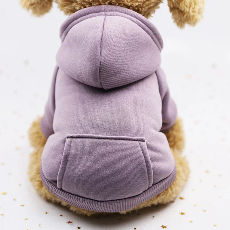 Small dog wearing a thick, warm lavender hooded sweater. Cozy, casual winter pet clothing with a pocket for comfort.
