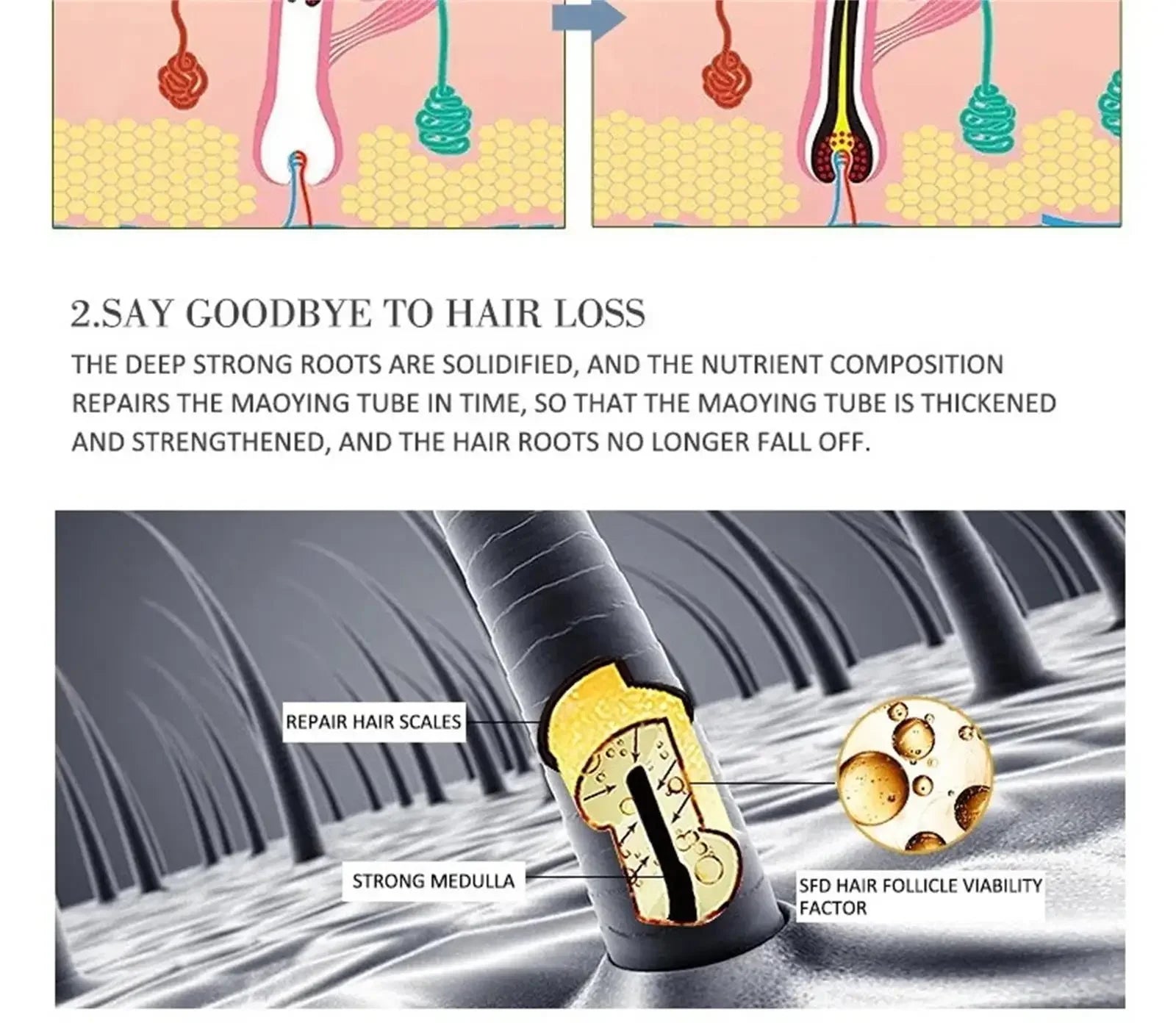 Tidesmit hair growth serum capsule: fast hair loss treatment for scalp repair and follicle follicle strengthening.