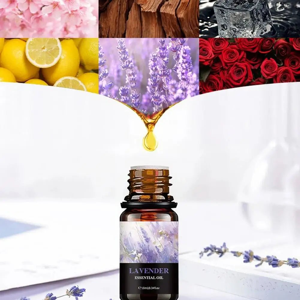 Aromatherapy Essential Oil 10ml Lemon Eucalyptus Lavender Eucalyptus Jasmine Rose Mint Orange Aroma Essential Oil