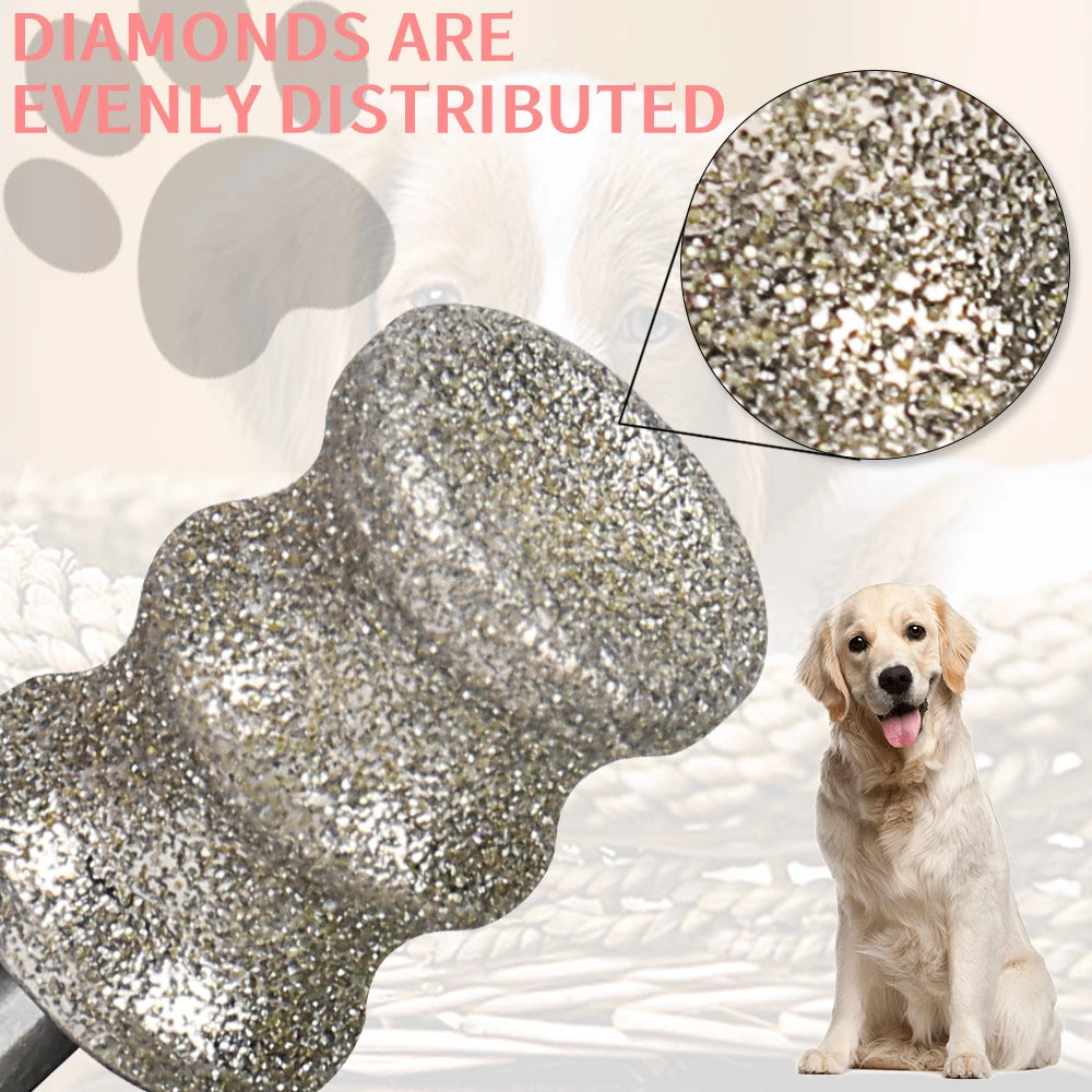 2-pack diamond-coated dog nail grinder replacement heads for smooth, painless pet paw grooming.