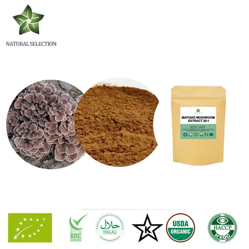 Maitake mushroom adaptogen extract powder in stand-up pouch packaging.