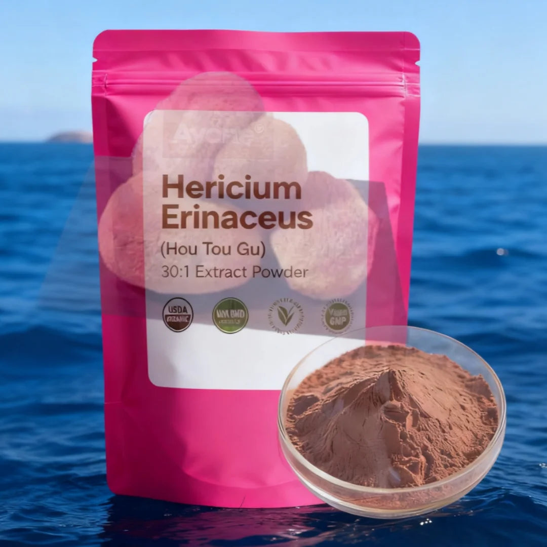 Global Customized Proportion Packaging Lions Mane Mushroom Extract Powder Bulk Hericium Erinaceus Out Packing Aluminum Foil Bag