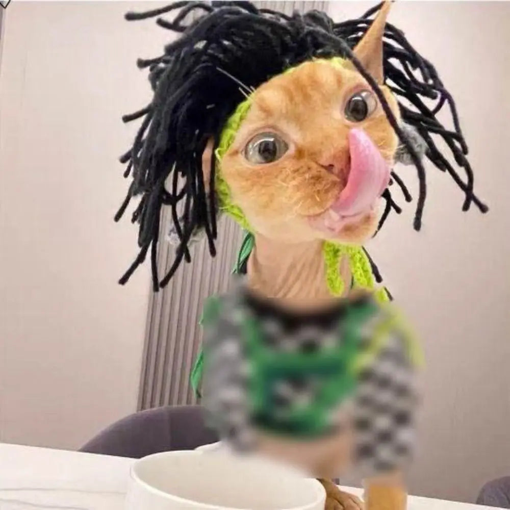 Funny knitted cat hat with dreadlocks, adjustable elastic green costume cap for hairless cats or small pets.