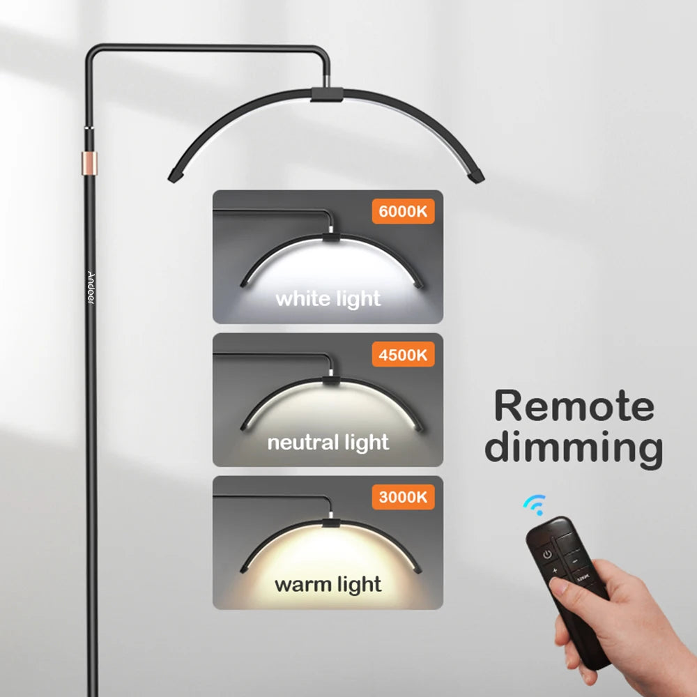Black arched floor lamp with adjustable color temperatures, including white, neutral, and warm light, plus a remote.
