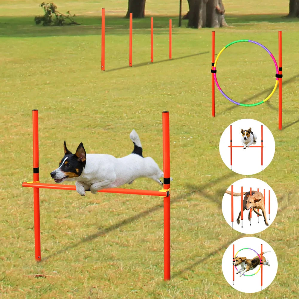 Portable dog agility training set with orange jumping hurdles and weave poles for outdoor exercise and obstacle practice.