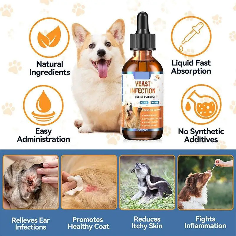 60ml herbal dog yeast infection drops for healthy skin, coat relief, and fast-absorbing, natural pet care supplement.