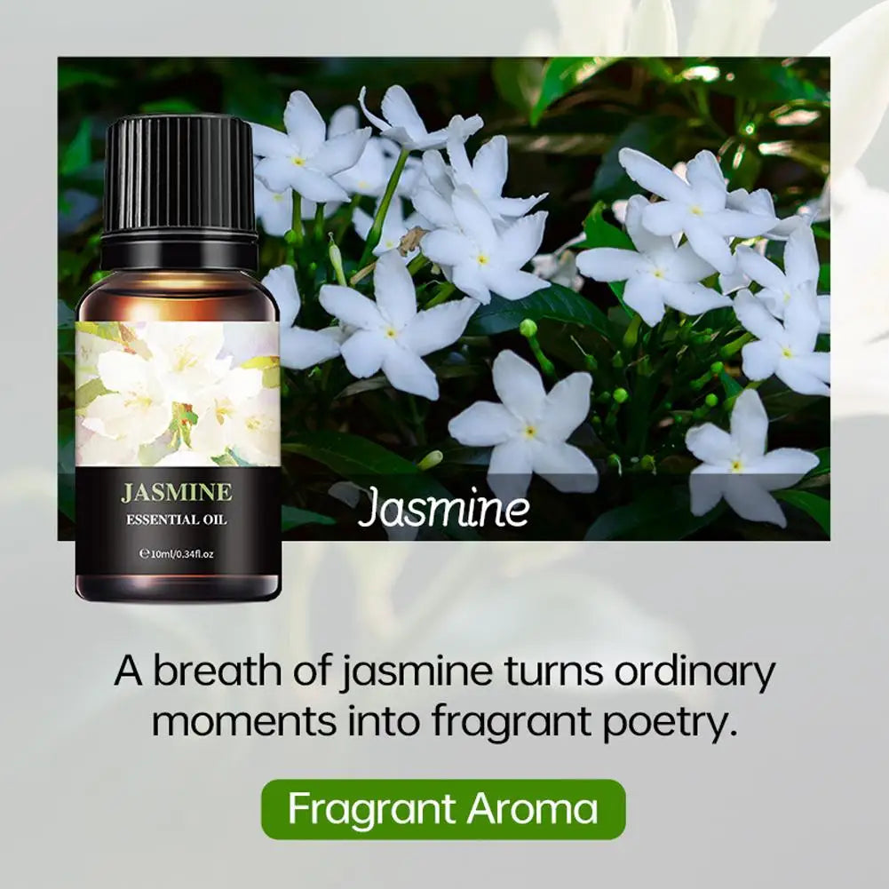 Aromatherapy Essential Oil 10ml Lemon Eucalyptus Lavender Eucalyptus Jasmine Rose Mint Orange Aroma Essential Oil