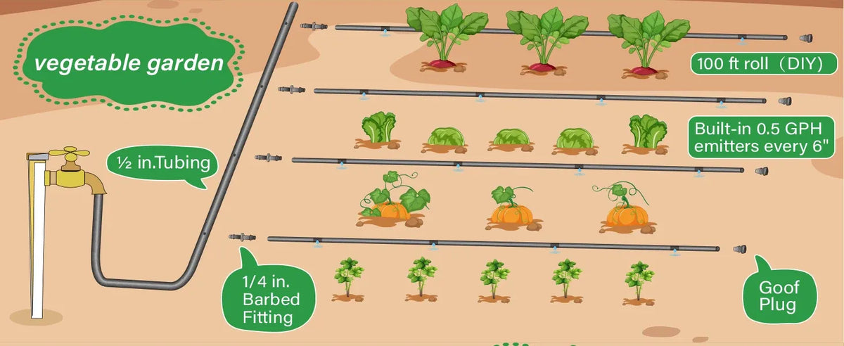 Drip irrigation layout diagram for garden rows with tubing and emitters