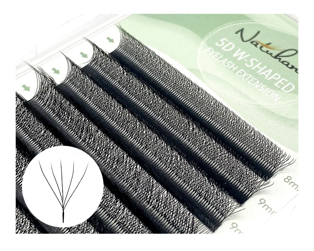 Black 5D W-shaped premade volume eyelash extension fan strips in a labeled storage tray.