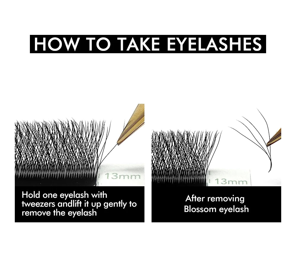 Instructional graphic showing tweezers lifting a black W-shaped premade eyelash fan from a 13mm tray.