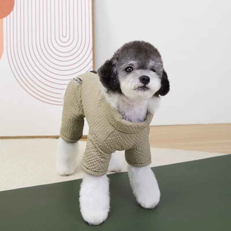 Small dog wearing a beige, waterproof four-leg winter jumpsuit for warmth and protection in cold weather.