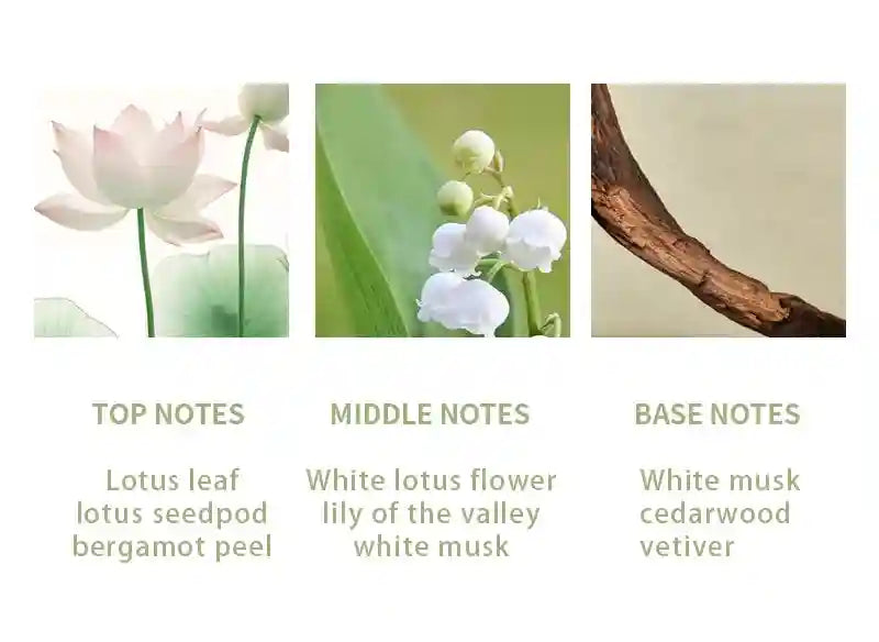 Fragrance pyramid showing top notes of lotus, middle notes of lily of the valley, and base notes of cedarwood.