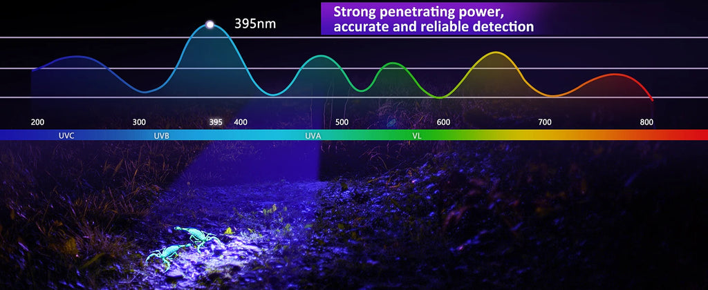 120W UV flashlight with 395nm light detecting scorpions and pet urine stains for accurate, reliable cleaning.