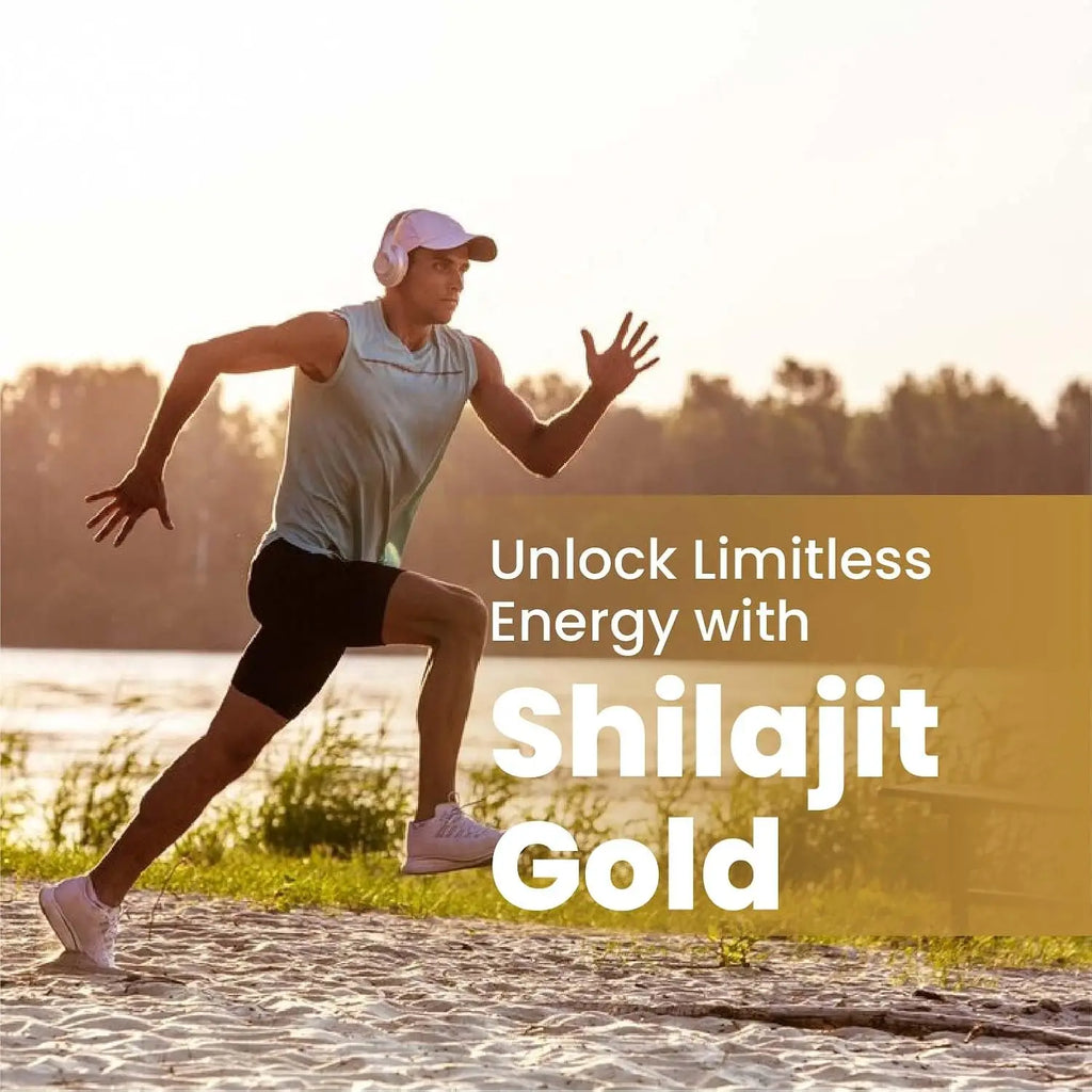 Shilajit Extract Patch equivalent to 6550mg & Ashwagandha, Ginseng, Saw Palmetto, Maca, Tribulus, Chaga| Acid|Immune Support