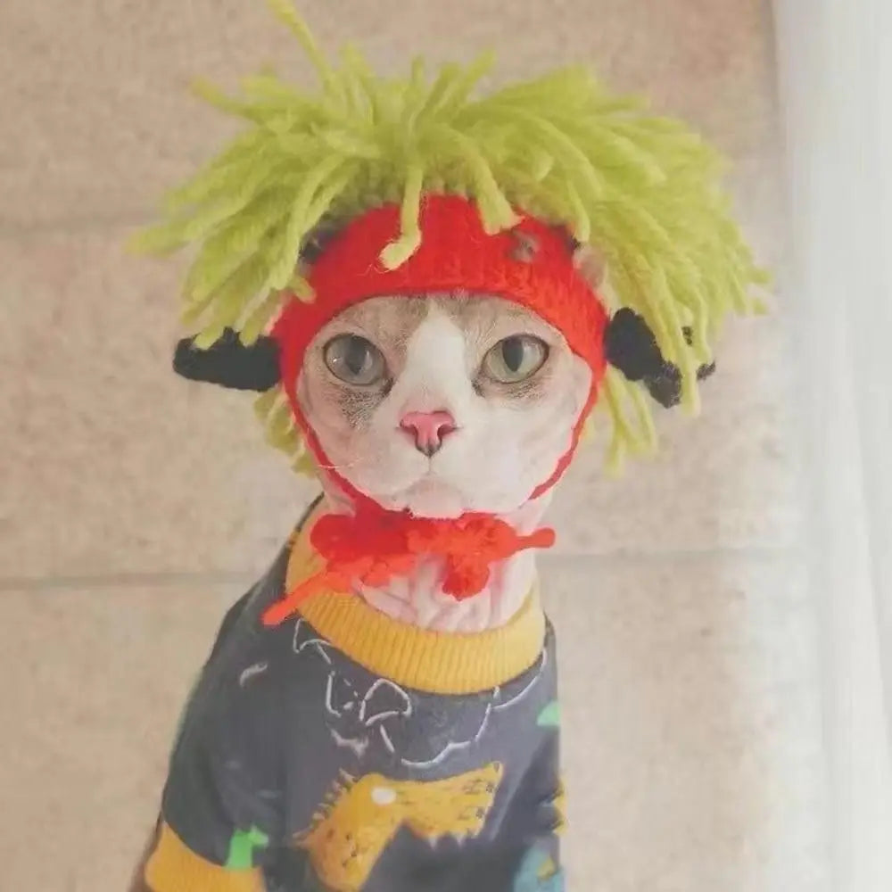 Funny knitted cat hat with lime green hair and red strap on a Sphinx cat for a cute, adjustable cosplay costume.