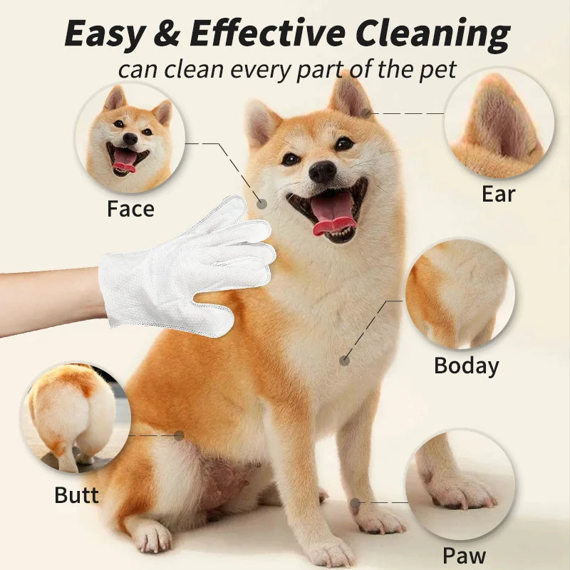 Disposable pet wash-free gloves cleaning a Shiba Inu, perfect for gentle, waterless dog and cat grooming.