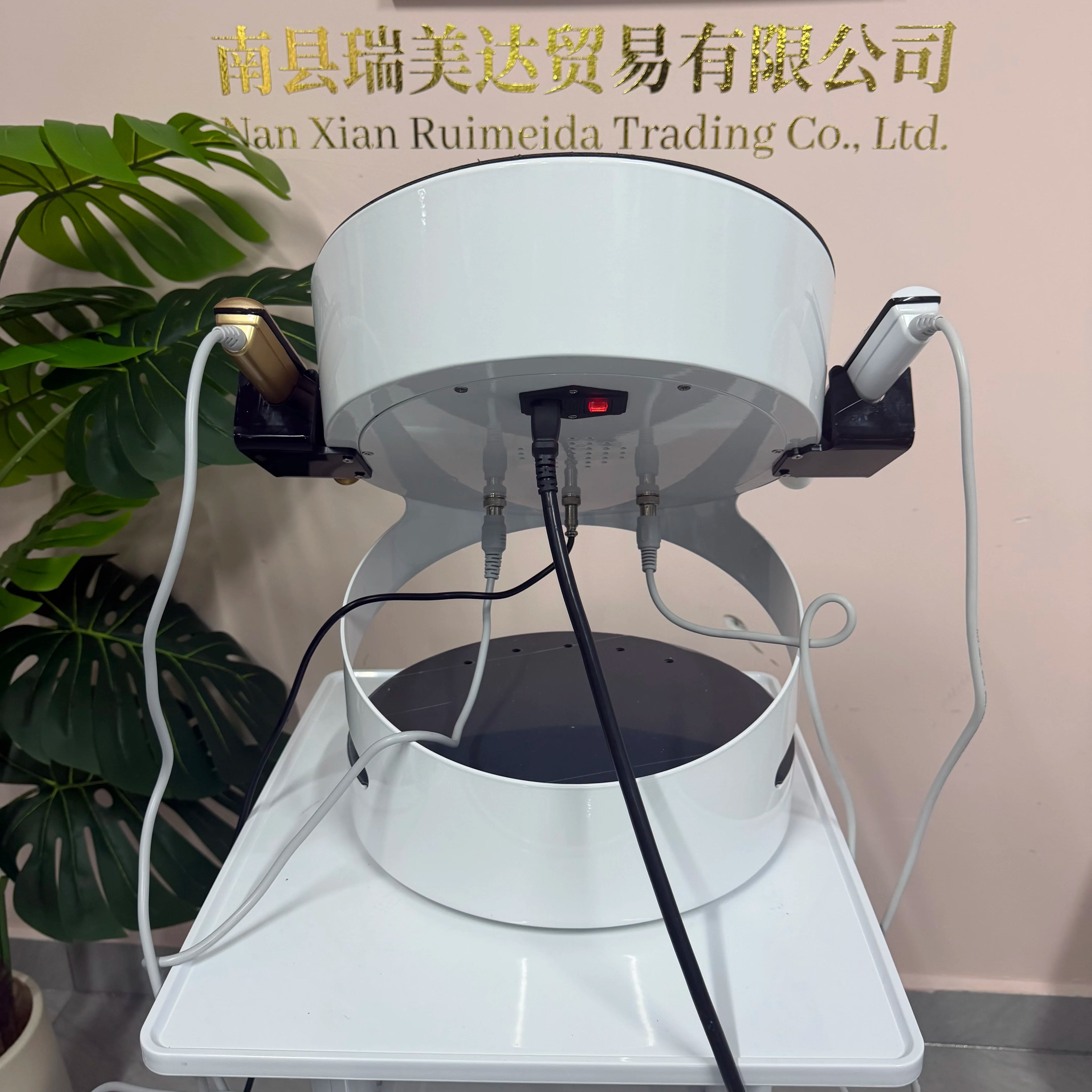 Professional 2-in-1 RF Ozone Gold Plasma Pen device for facial lifting, skin rejuvenation, and pigment removal.
