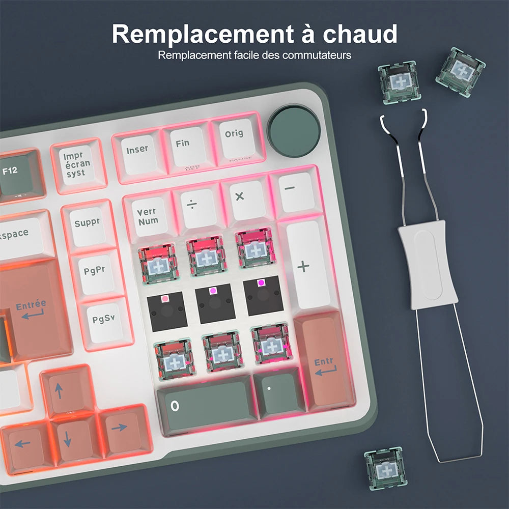 RK ROYAL KLUDGE RK C98 Magnetic Keyboard 0.01mm Rapid Trigg 8000HZ SOCD/Rs 0.125ms RGB Wired Mechanical Esports Gamer Keyboard